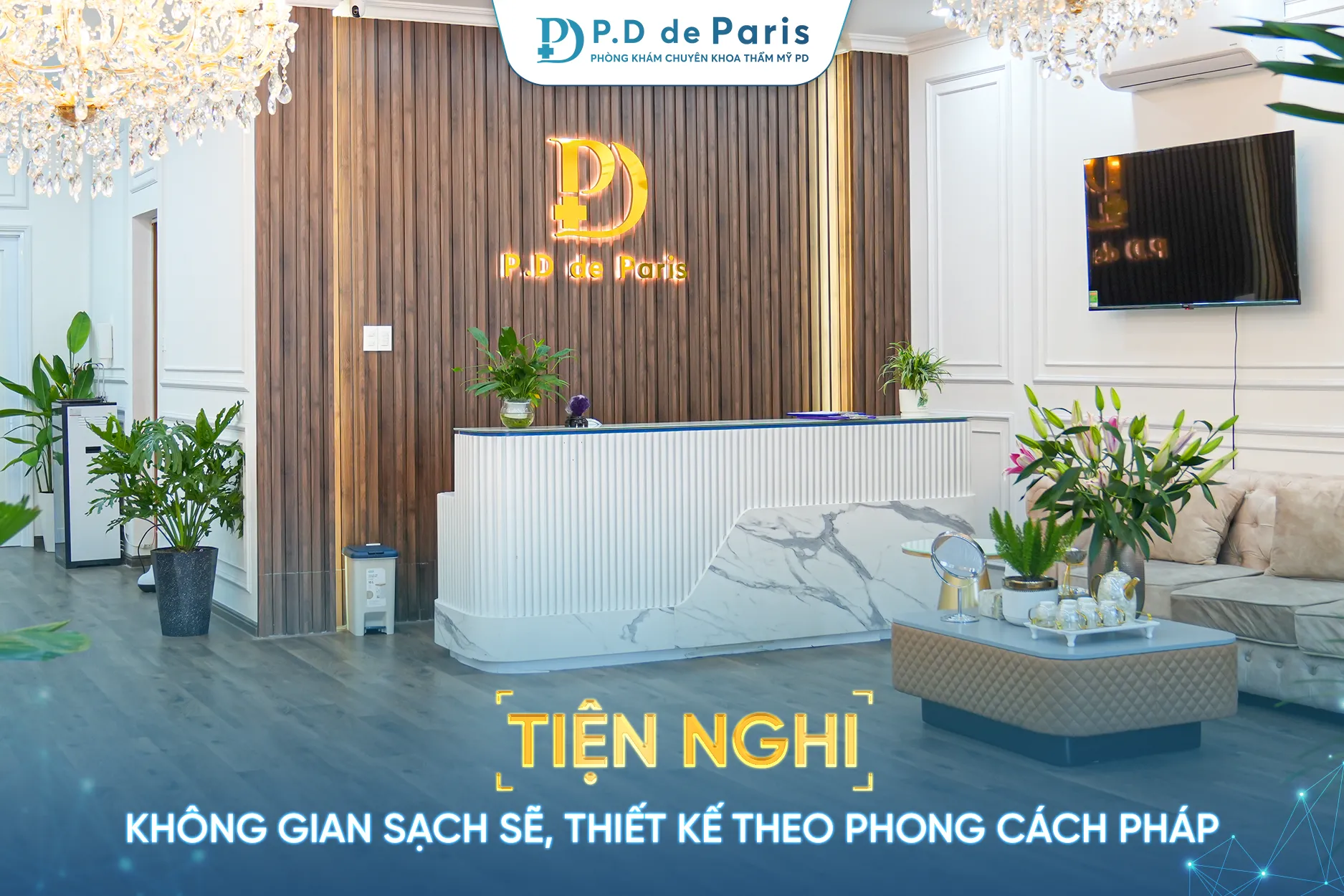 Tôn chỉ 5T – Nguyên tắc hoạt động của phòng khám P.D de Paris