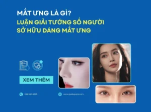 Mắt ưng là gì? Luận giải tướng số người sở hữu dáng mắt ưng