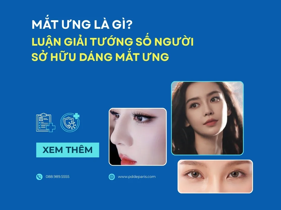 Mắt ưng là gì? Luận giải tướng số người sở hữu dáng mắt ưng