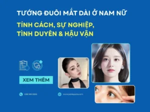 Tướng Đuôi Mắt Dài Ở Nam Nữ: Tính Cách, Sự Nghiệp, Tình Duyên & Hậu Vận