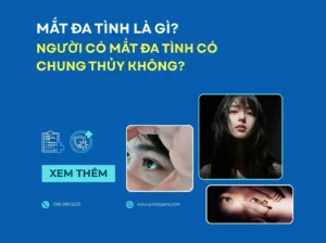 Mắt Đa Tình Là Gì? Dấu Hiệu Nhận Biết và Người Có Mắt Đa Tình Có Chung Thủy Không?