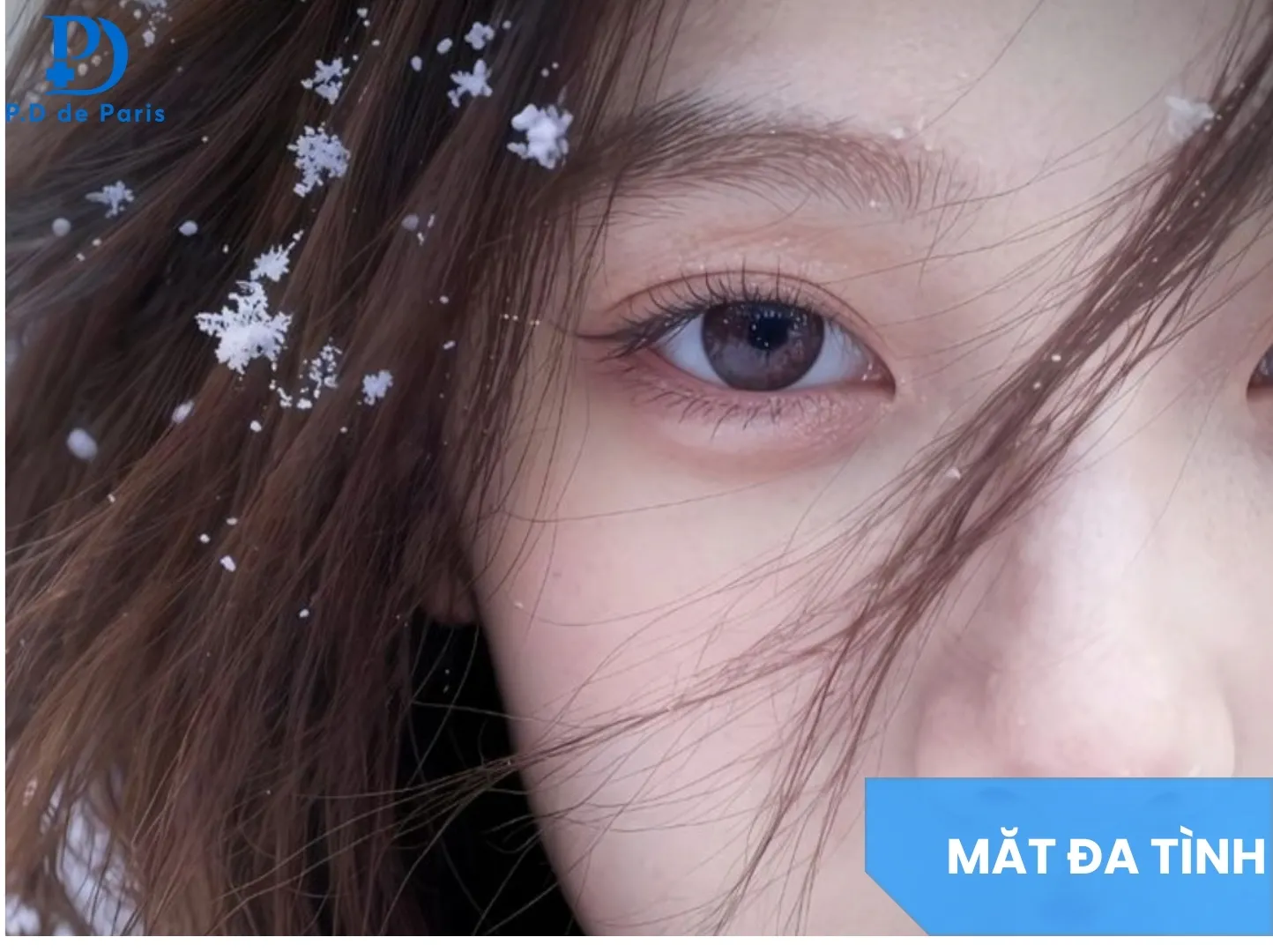 Mắt Đa Tình Là Gì? Dấu Hiệu Nhận Biết và Người Có Mắt Đa Tình Có Chung Thủy Không?