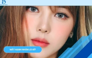 Mắt Hạnh Nhân Là Gì? Đặc Điểm Nhận Biết & Tướng Số Vận Mệnh