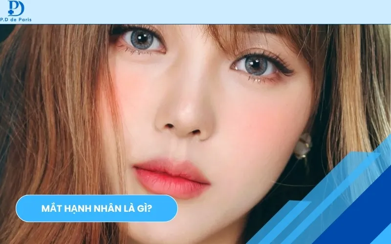 Mắt Hạnh Nhân Là Gì? Đặc Điểm Nhận Biết & Tướng Số Vận Mệnh