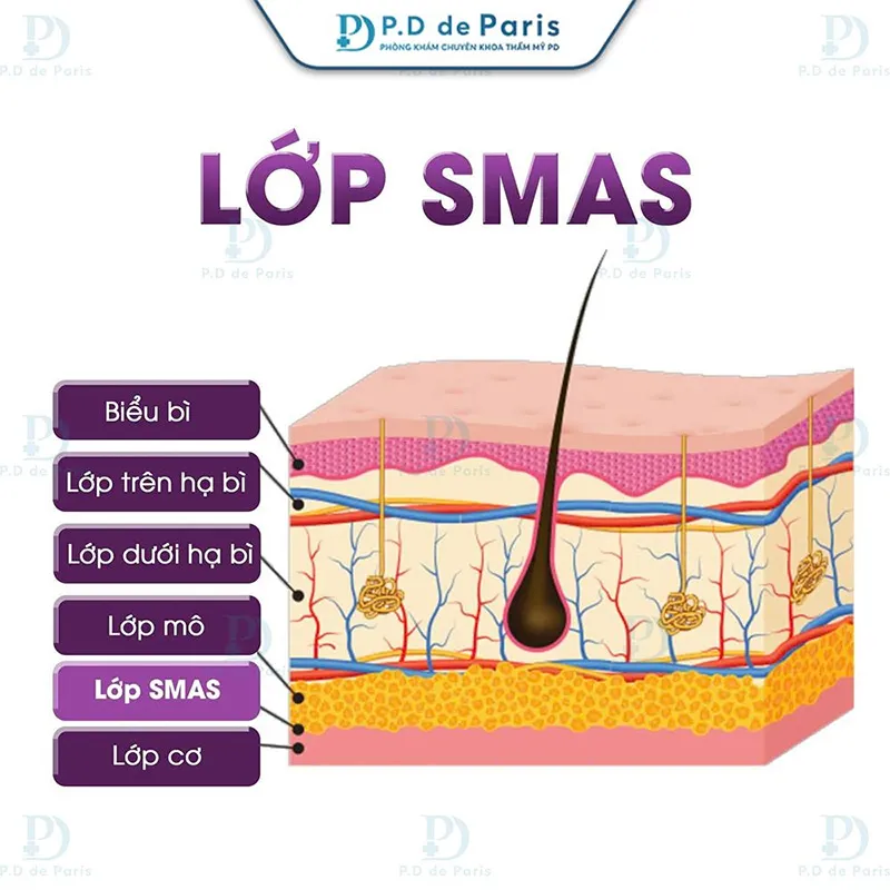 5 Ưu Điểm Vượt Trội Của Phương Pháp VECTORA Định Trục Nâng Cơ So Với Cách Trẻ Hóa Da Mặt Truyền Thống